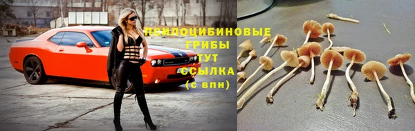 марки nbome Зерноград